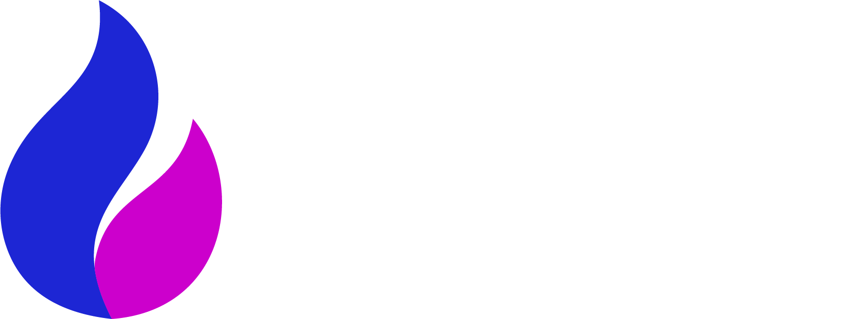 Blaze Logo